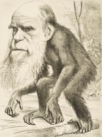 Caricatura de Darwin (1871)